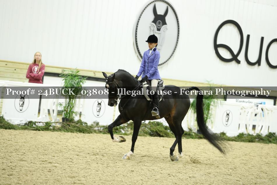 Proof 24BUCK_03808