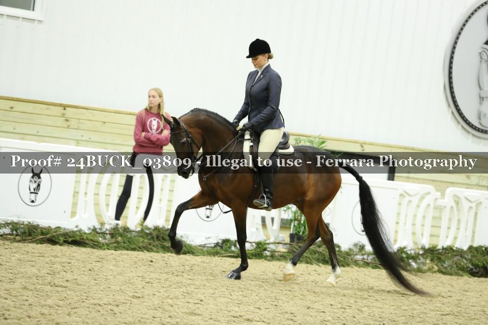 Proof 24BUCK_03809
