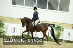 24BUCK_03810 proof