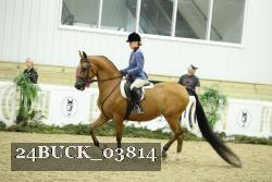 24BUCK_03814 proof