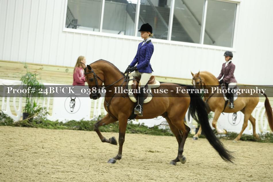 Proof 24BUCK_03816
