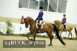 24BUCK_03816 proof