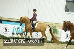 24BUCK_03817 proof