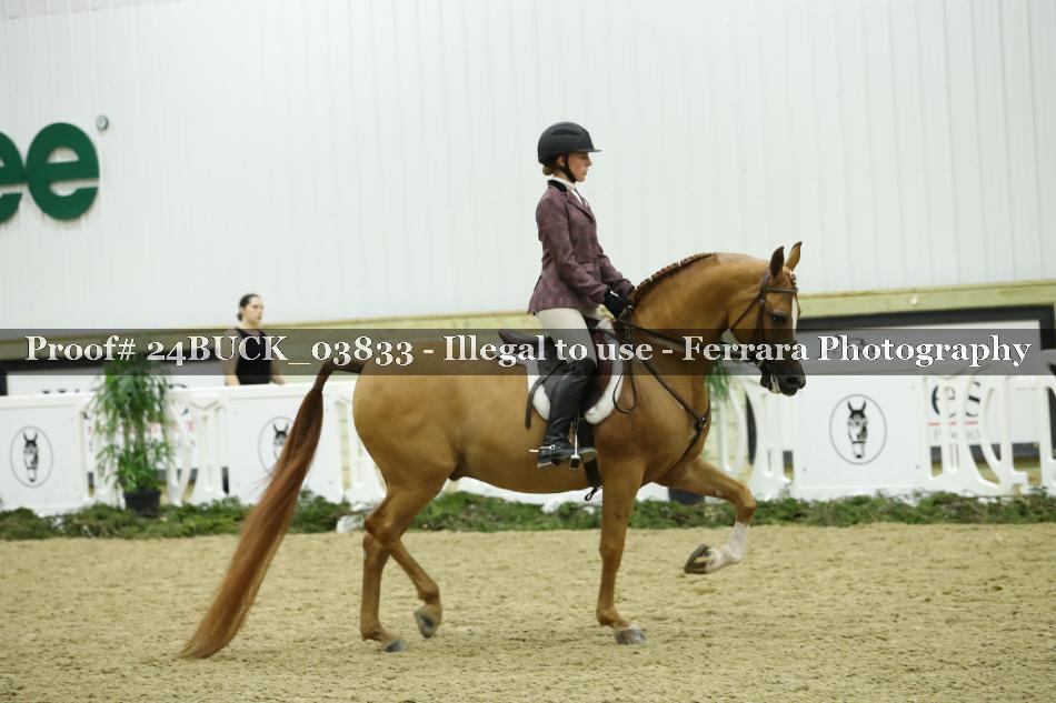 Proof 24BUCK_03833