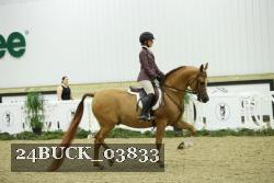24BUCK_03833 proof