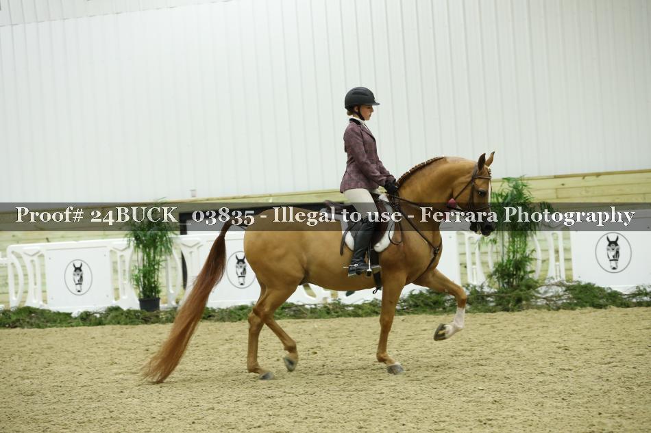 Proof 24BUCK_03835
