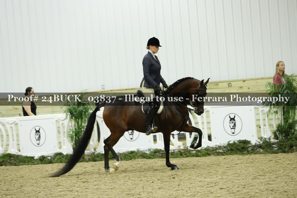 Proof 24BUCK_03837