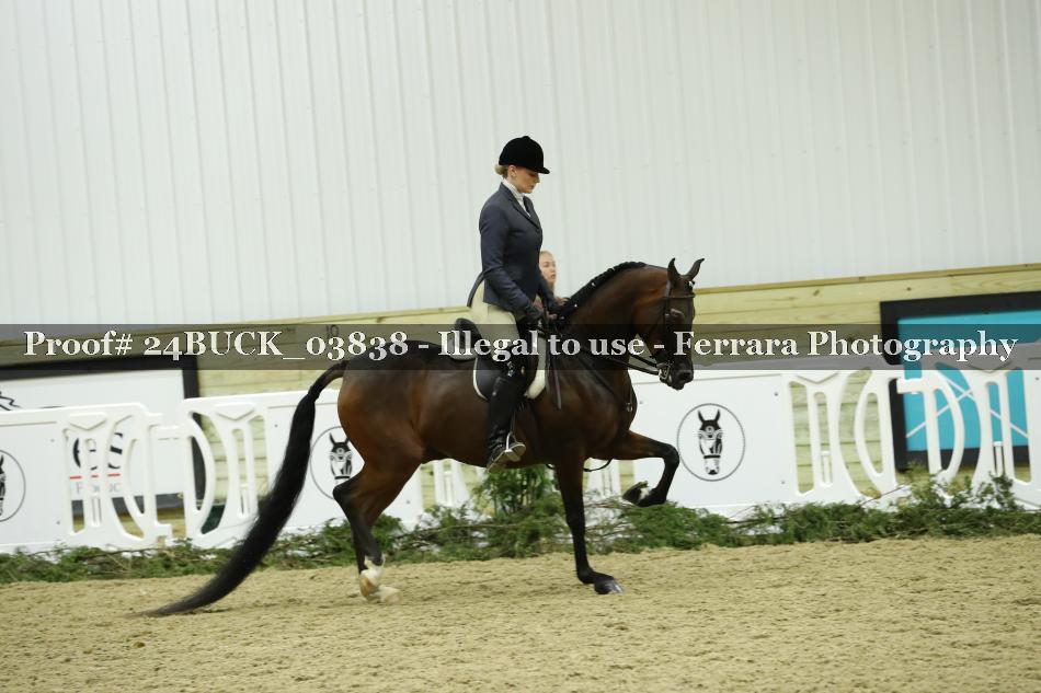 Proof 24BUCK_03838