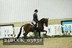 24BUCK_03838 proof