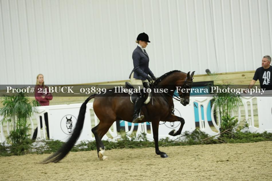 Proof 24BUCK_03839