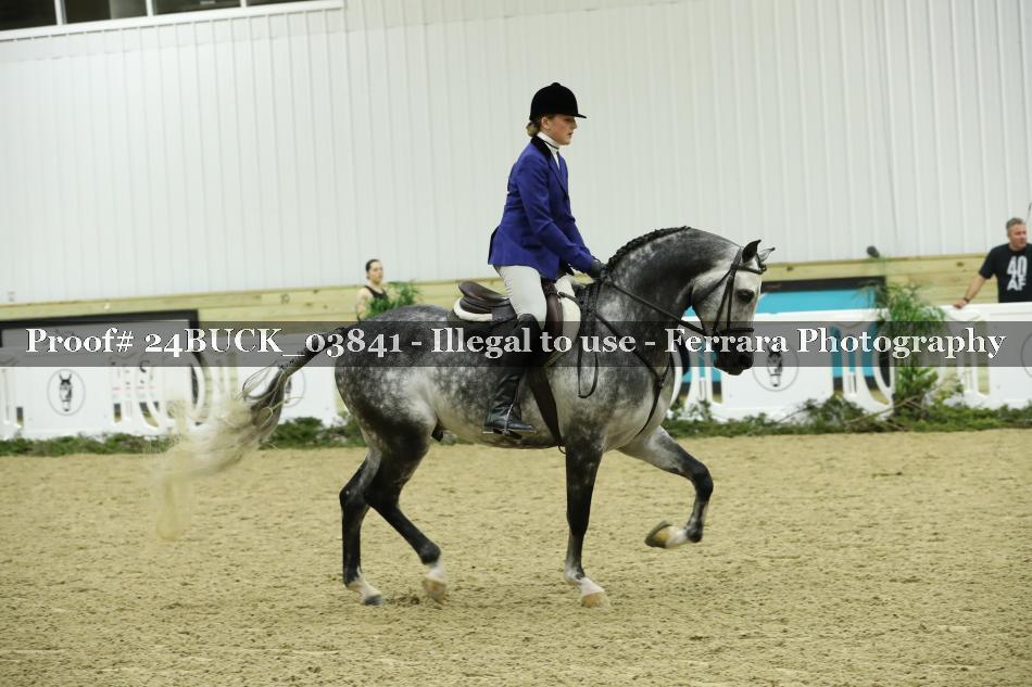 Proof 24BUCK_03841