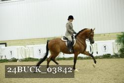24BUCK_03842 proof