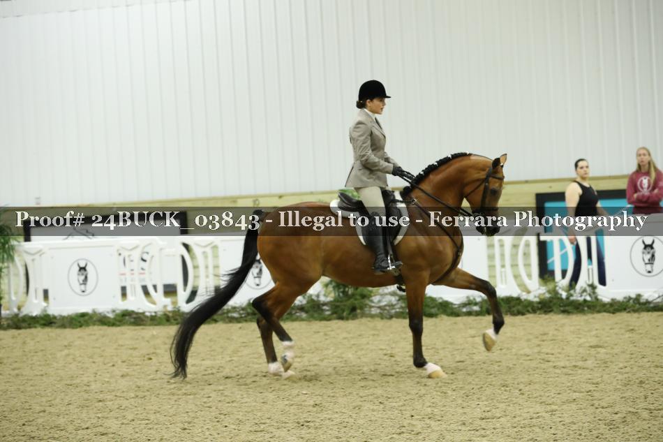 Proof 24BUCK_03843