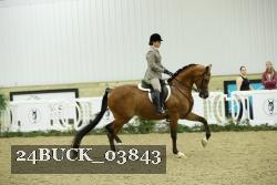 24BUCK_03843 proof