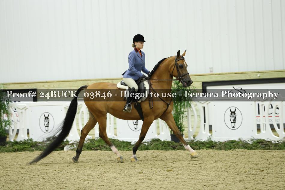 Proof 24BUCK_03846
