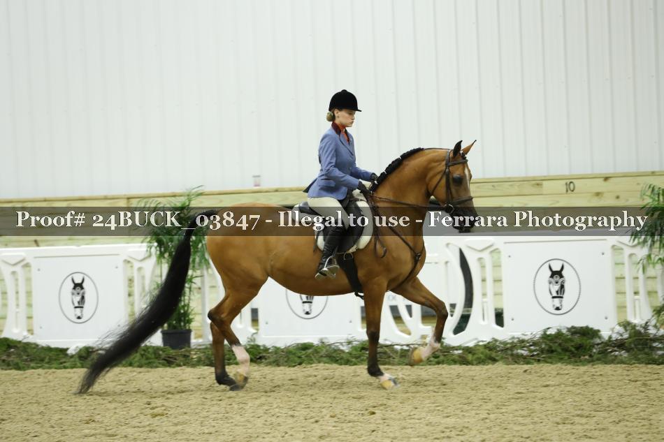 Proof 24BUCK_03847