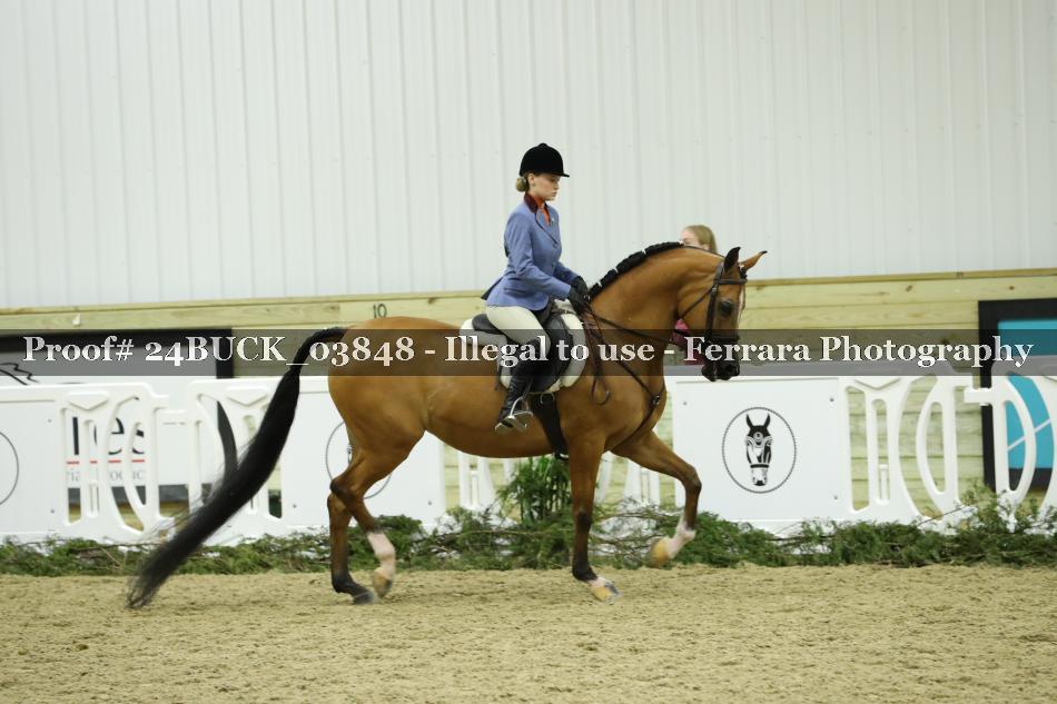 Proof 24BUCK_03848