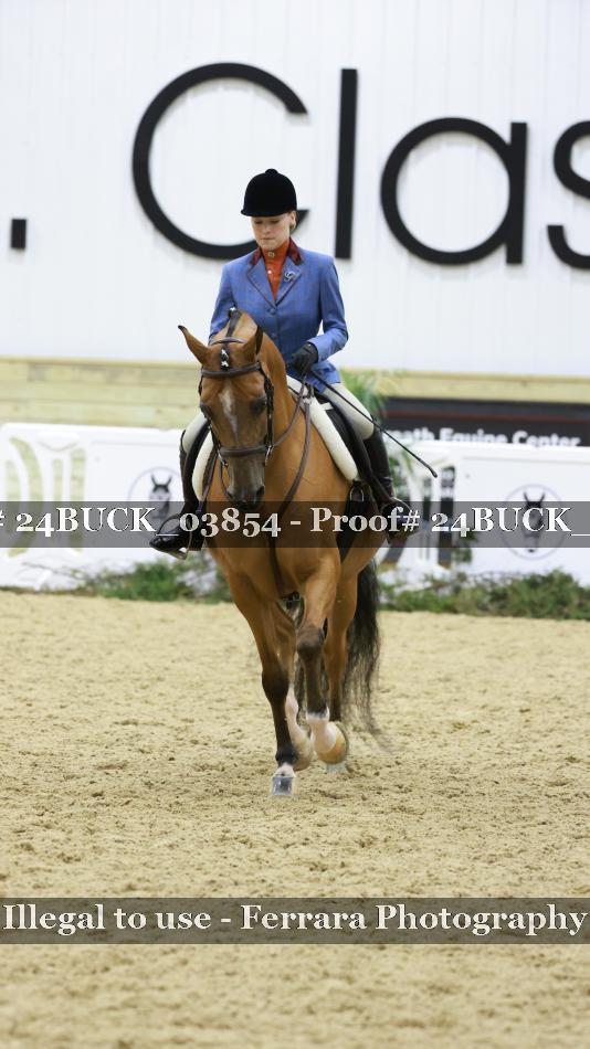 Proof 24BUCK_03854