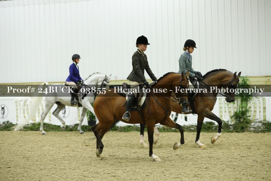 Proof 24BUCK_03855