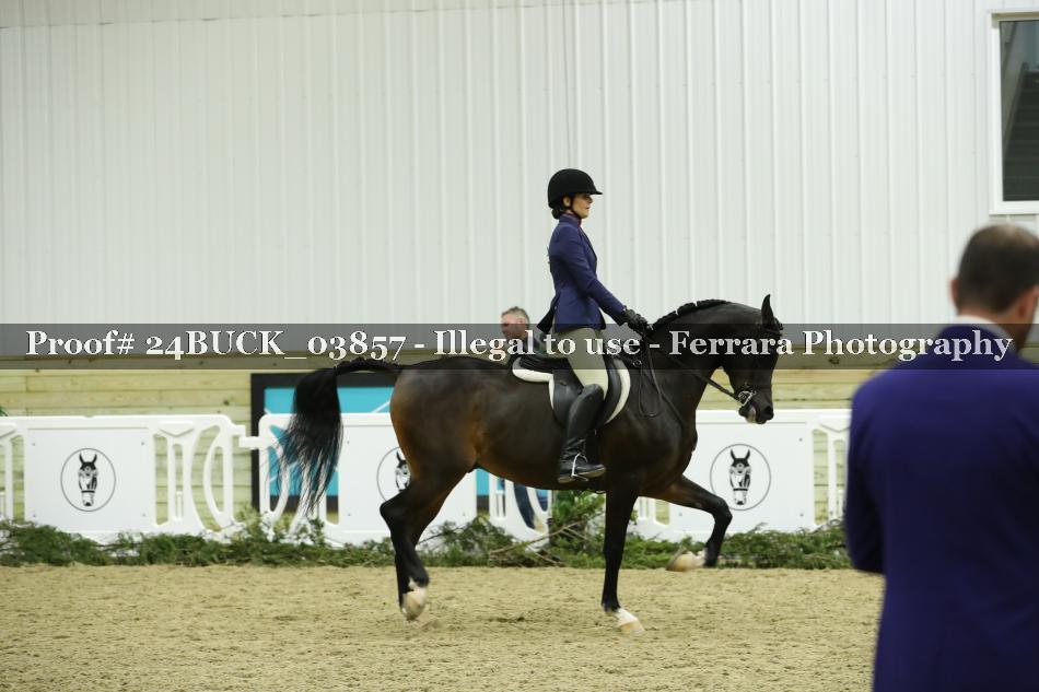 Proof 24BUCK_03857