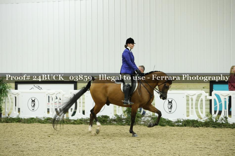 Proof 24BUCK_03859