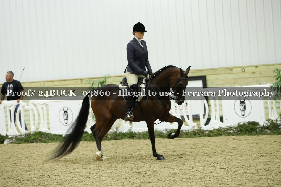 Proof 24BUCK_03860