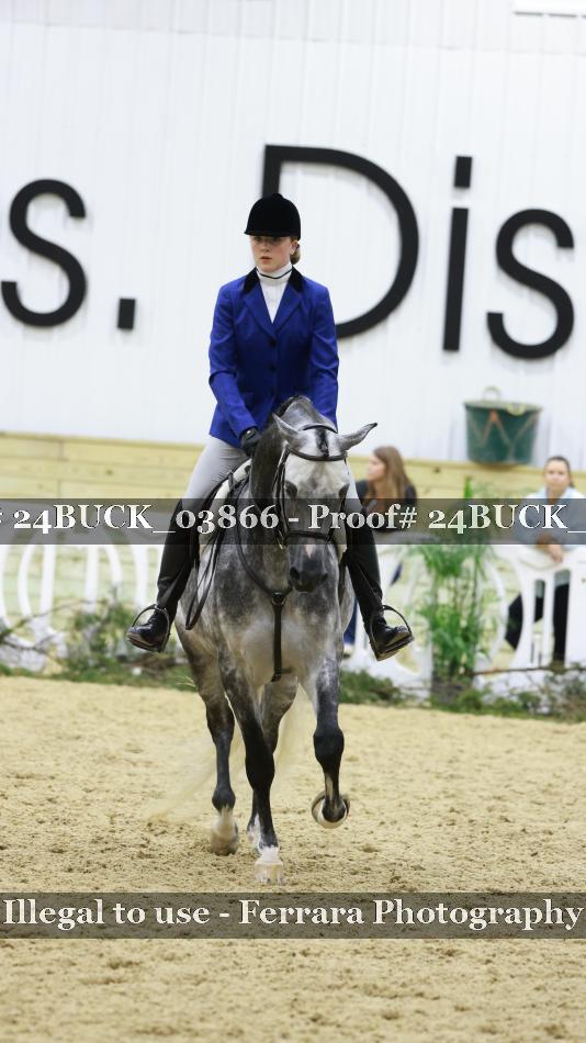 Proof 24BUCK_03866