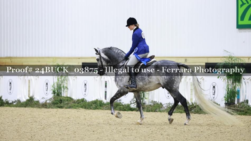 Proof 24BUCK_03875