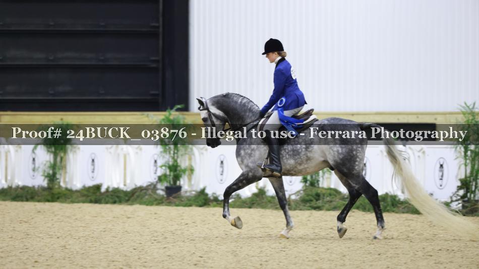 Proof 24BUCK_03876