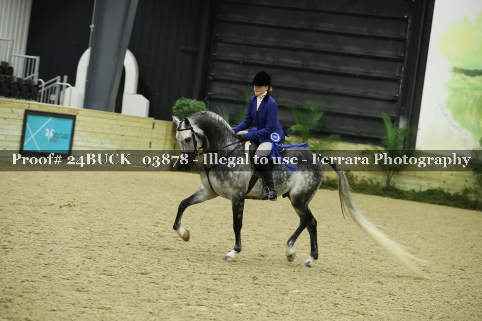 Proof 24BUCK_03878