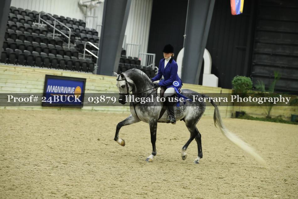 Proof 24BUCK_03879