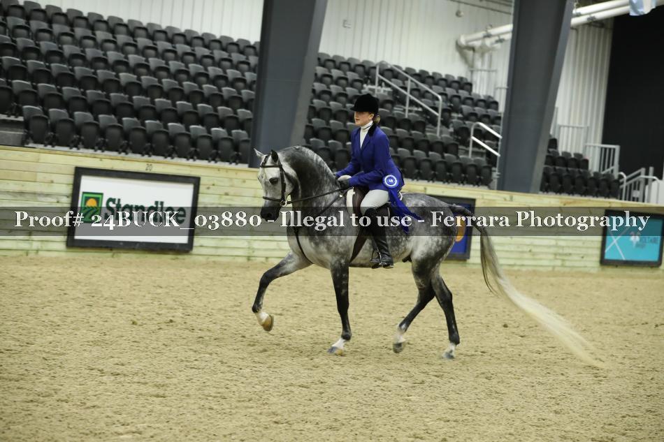 Proof 24BUCK_03880