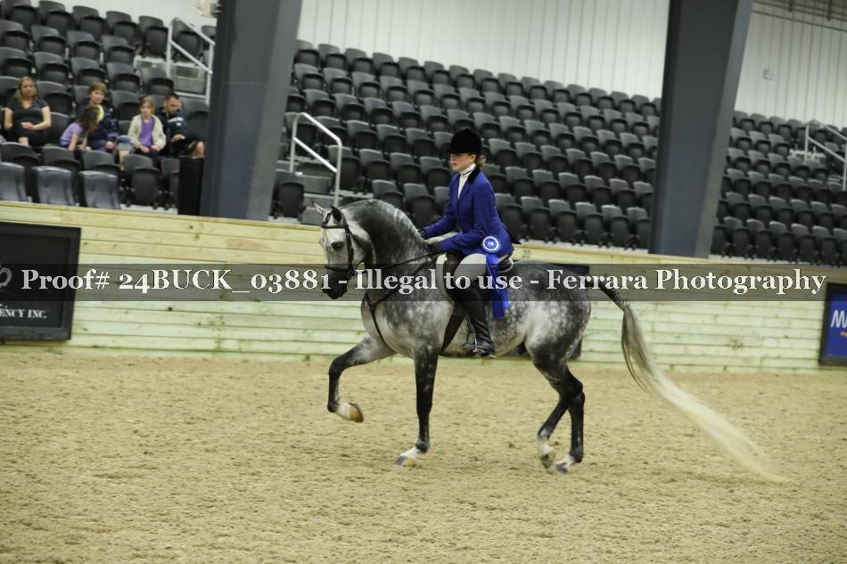 Proof 24BUCK_03881