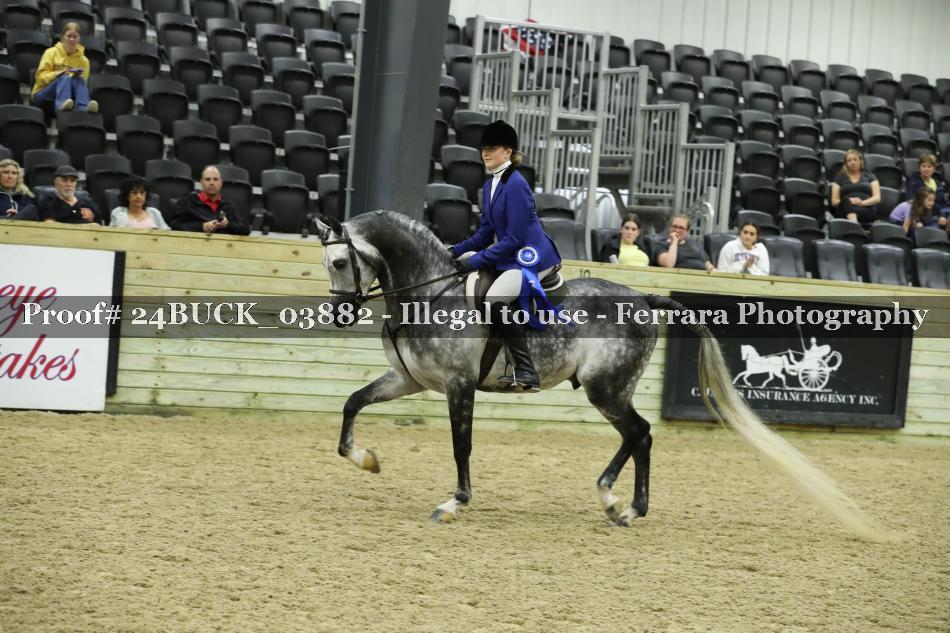 Proof 24BUCK_03882