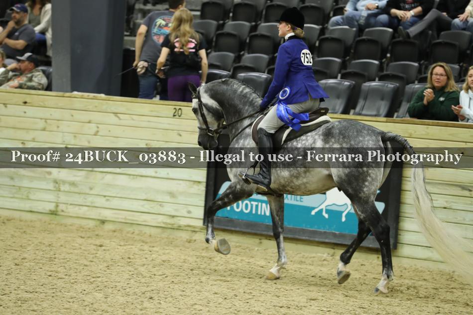 Proof 24BUCK_03883