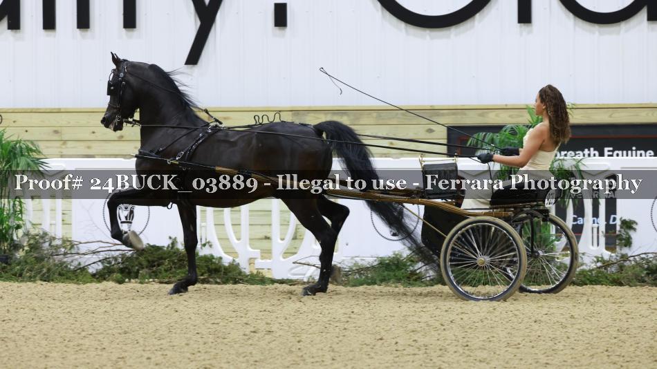 Proof 24BUCK_03889