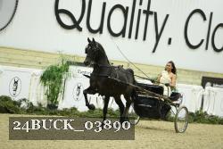 24BUCK_03890 proof