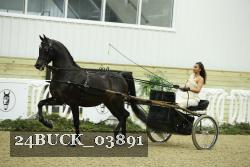24BUCK_03891 proof