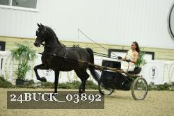 24BUCK_03892 proof