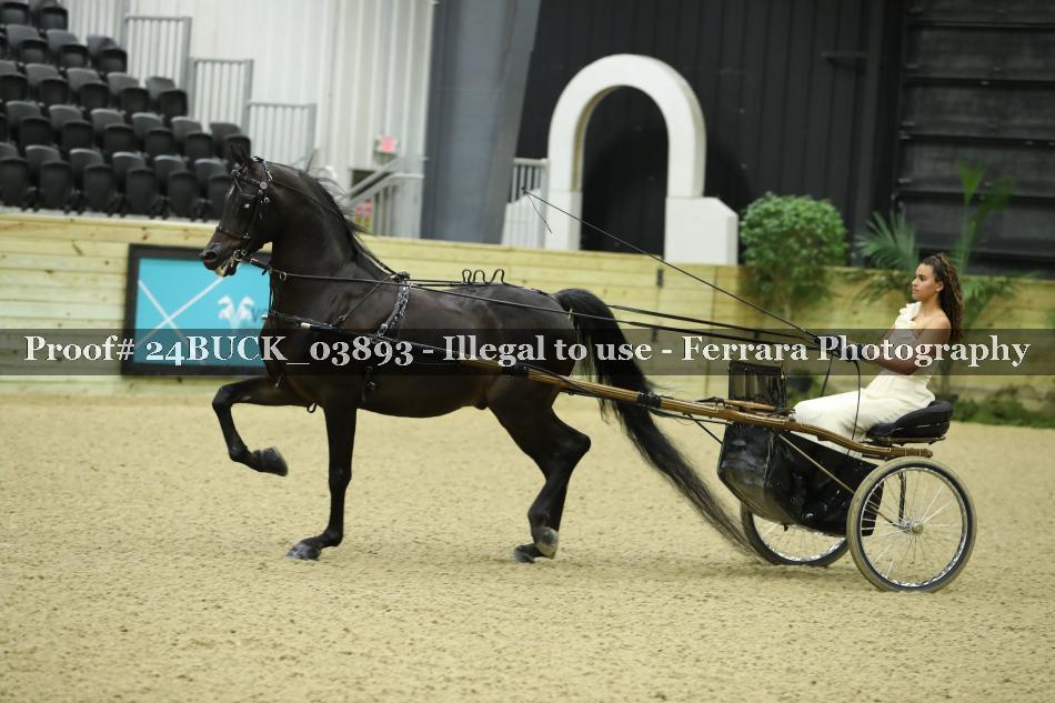 Proof 24BUCK_03893