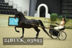 24BUCK_03893 proof