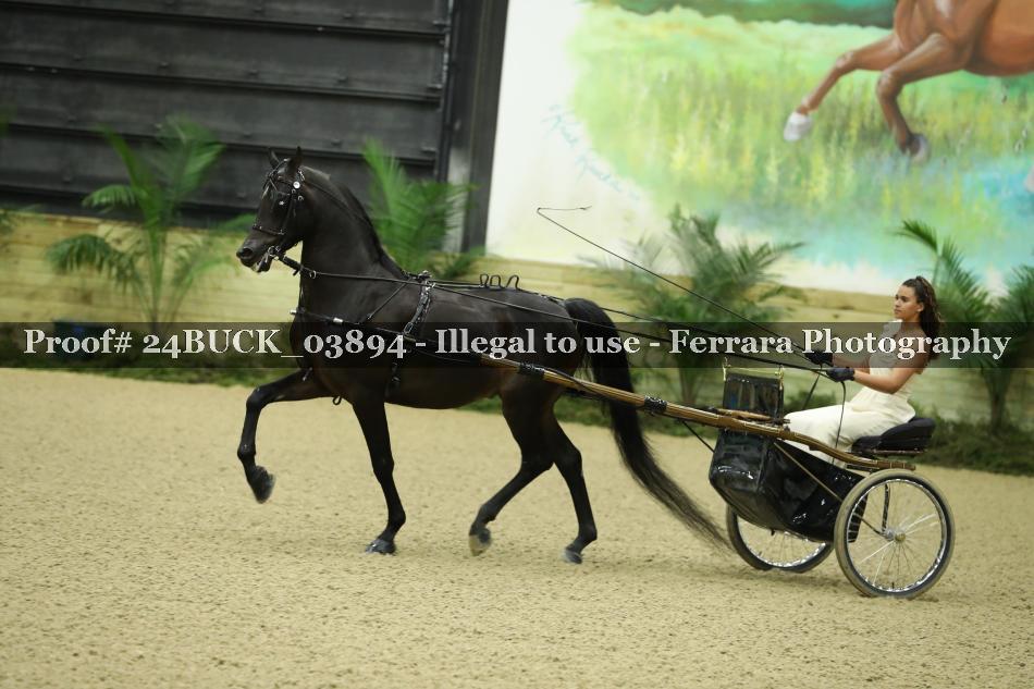 Proof 24BUCK_03894