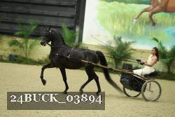 24BUCK_03894 proof