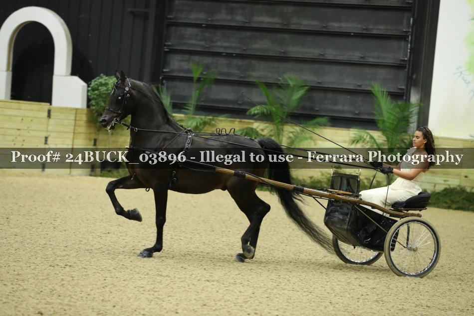 Proof 24BUCK_03896