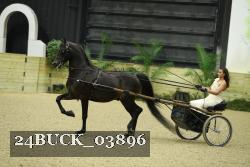 24BUCK_03896 proof