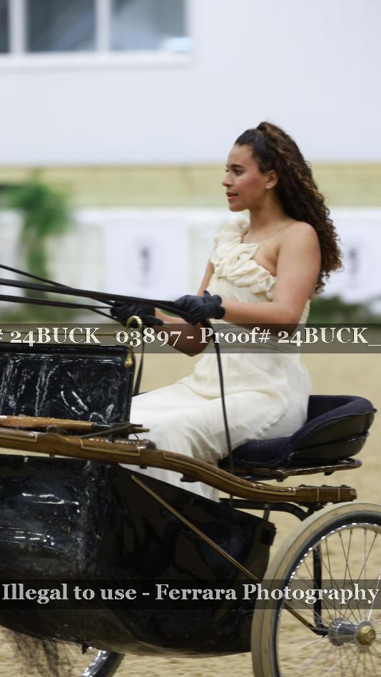 Proof 24BUCK_03897