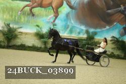 24BUCK_03899 proof