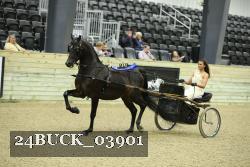 24BUCK_03901 proof