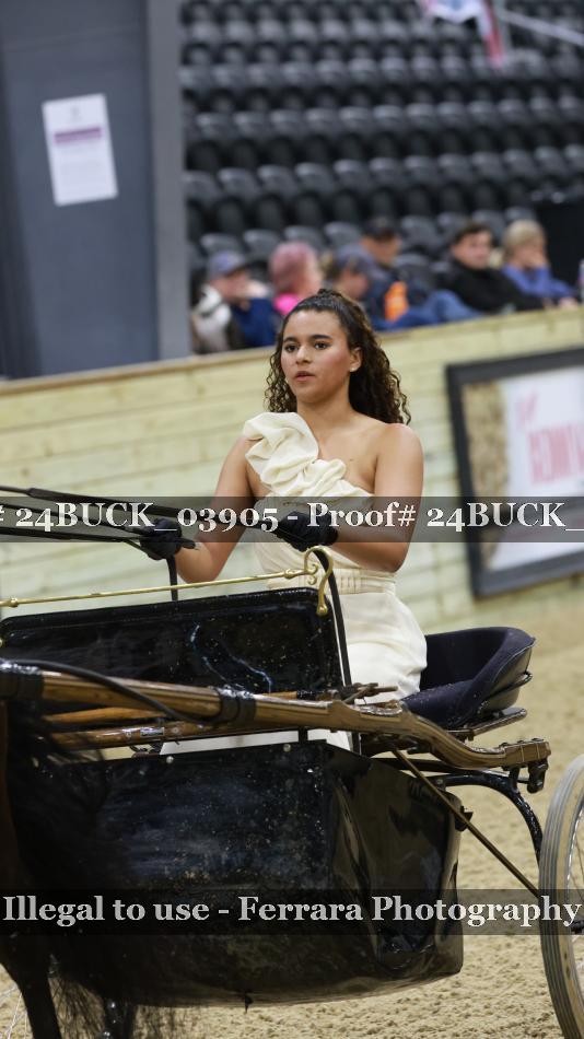 Proof 24BUCK_03905