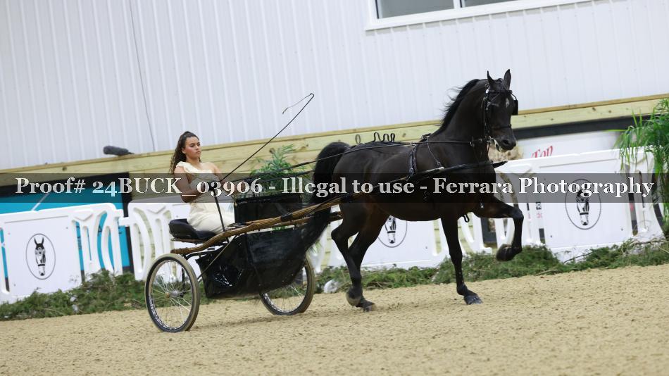 Proof 24BUCK_03906